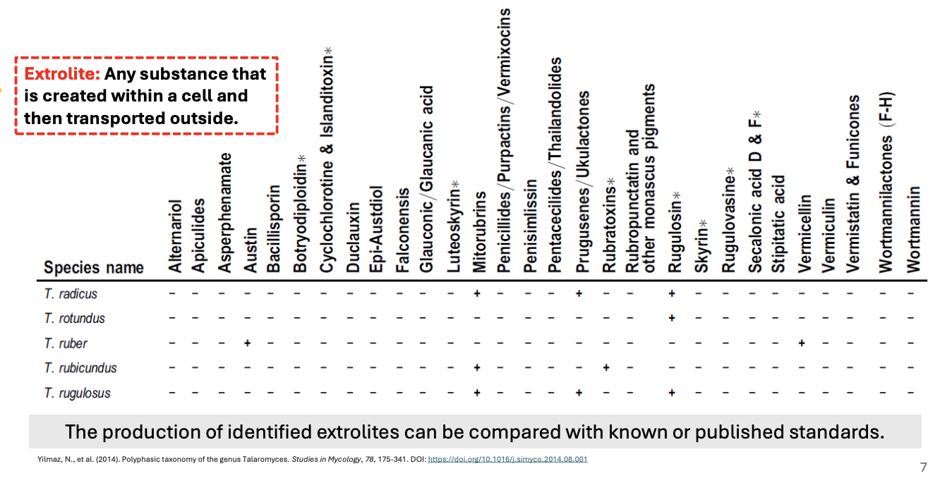 <p>the production of identified extrolites can be compared with known or published standards</p>