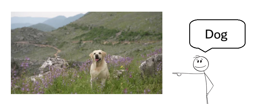 <p>just detects one label, no spatial extent</p>