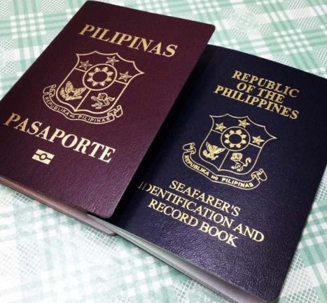 <p>Issued to a crew member aboard commercial transport or pleasure trips. Also known as 'seaman's book or seafarer's passport'.</p>