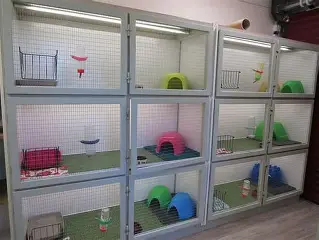 <p>rat, guinea pig</p><p>plastic or metal</p>