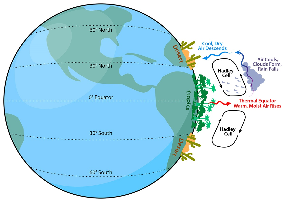 <p>fall in higher latitudes between 40 and 60 degrees.</p>