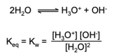 <p></p><p></p><ul><li><p><span>H2O is mostly in its standard state, so [H2O]/[H2O]° = 1</span></p></li><li><p><span>So Kw = [H3O+][OH-]</span></p></li><li><p><span>At 298K, Kw = 10^-14</span></p></li><li><p><span>In pure water, [H3O+]=[OH-], so Kw = [H3O+]^2 = 10^-14</span></p></li><li><p><span>So [H3O+] = 10^-7</span></p></li><li><p><span>So pH = 7, this is neutral</span></p></li><li><p><span>If temperature changes, the pH of water will also change as pH is temperature dependent as Kw is temperature dependent</span></p></li></ul><p></p>