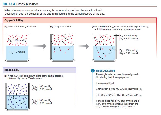 Concentration of a molecule dissolved in a water at a certain pressure is the partial pressure of gas in a solution.

Partial pressure of a material depends on the solubility of that gas in that medium