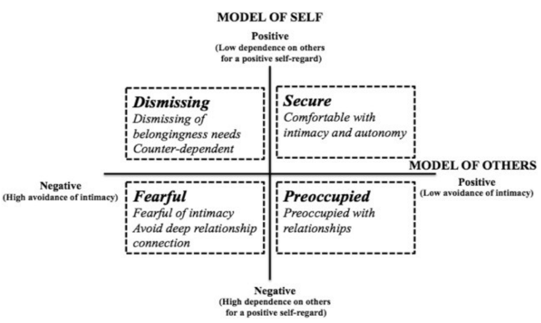 <p><span style="font-family: Calibri, sans-serif;">Secure is the best</span></p><p class="MsoNormal"><span style="font-family: Calibri, sans-serif;">Dismissing- dismissive of others, don’t need others. May come from deeper issues (being hurt before)</span></p><p class="MsoNormal"><span style="font-family: Calibri, sans-serif;">Preoccupied- Negative about self and positive about others, may become over attached- can be abused and explosive.</span></p><p class="MsoNormal"><span style="font-family: Calibri, sans-serif;">Fearful- negative of self and others- non trusting lost of anxiety</span></p><p class="MsoNormal"><span style="font-family: Calibri, sans-serif;">People can vary overtime and between different people.</span></p>