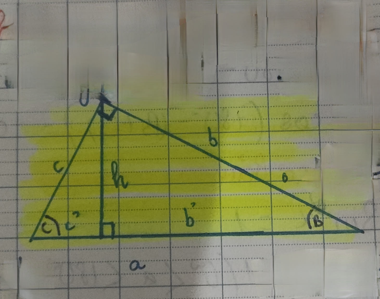 <p>CosB</p>