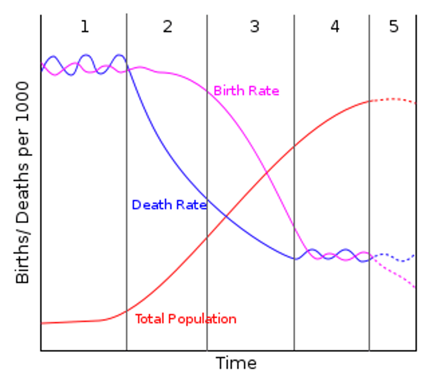 <p>graph showing three lines: Birth Rate (drops later), Death Rate (drops first), and Total Population (S-curve that rises as the gap between birth/death grows)</p>
