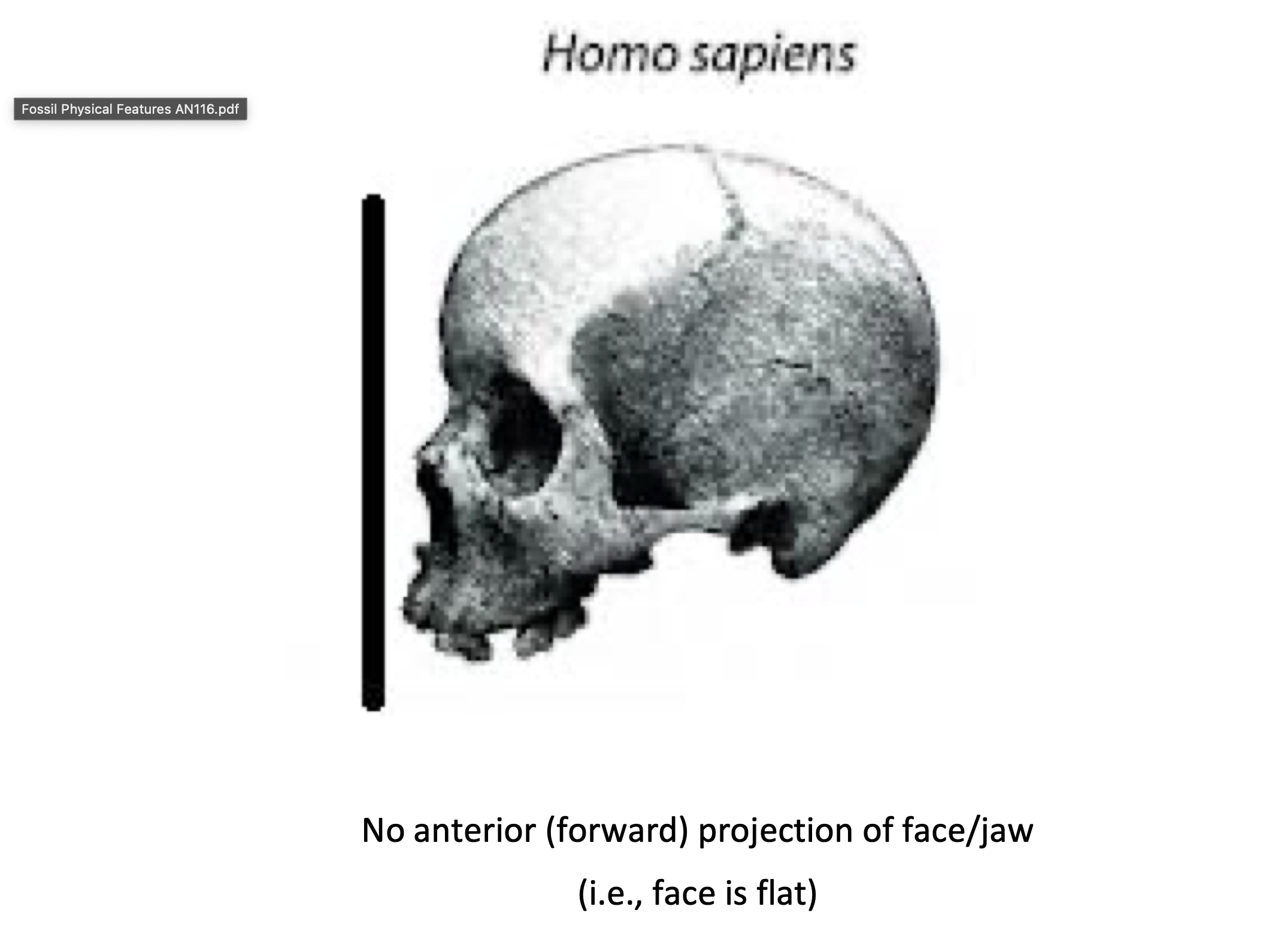<p></p>
