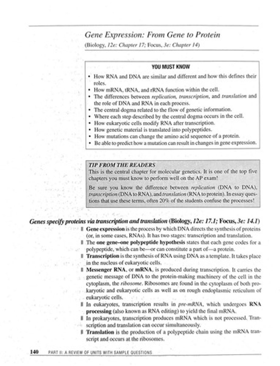 <p>Process converting DNA sequence into mRNA.</p>