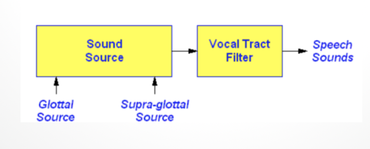 <ul><li><p>vocal folds produce a tone&nbsp;</p></li><li><p>filter of the vocal tract changes that tone/frequency&nbsp;</p></li><li><p>changing the shape of  oral cavity = changes the resonant frequencies&nbsp;</p><ul><li><p>this changes the sound that comes out of your mouth&nbsp;</p></li></ul></li></ul><p></p>