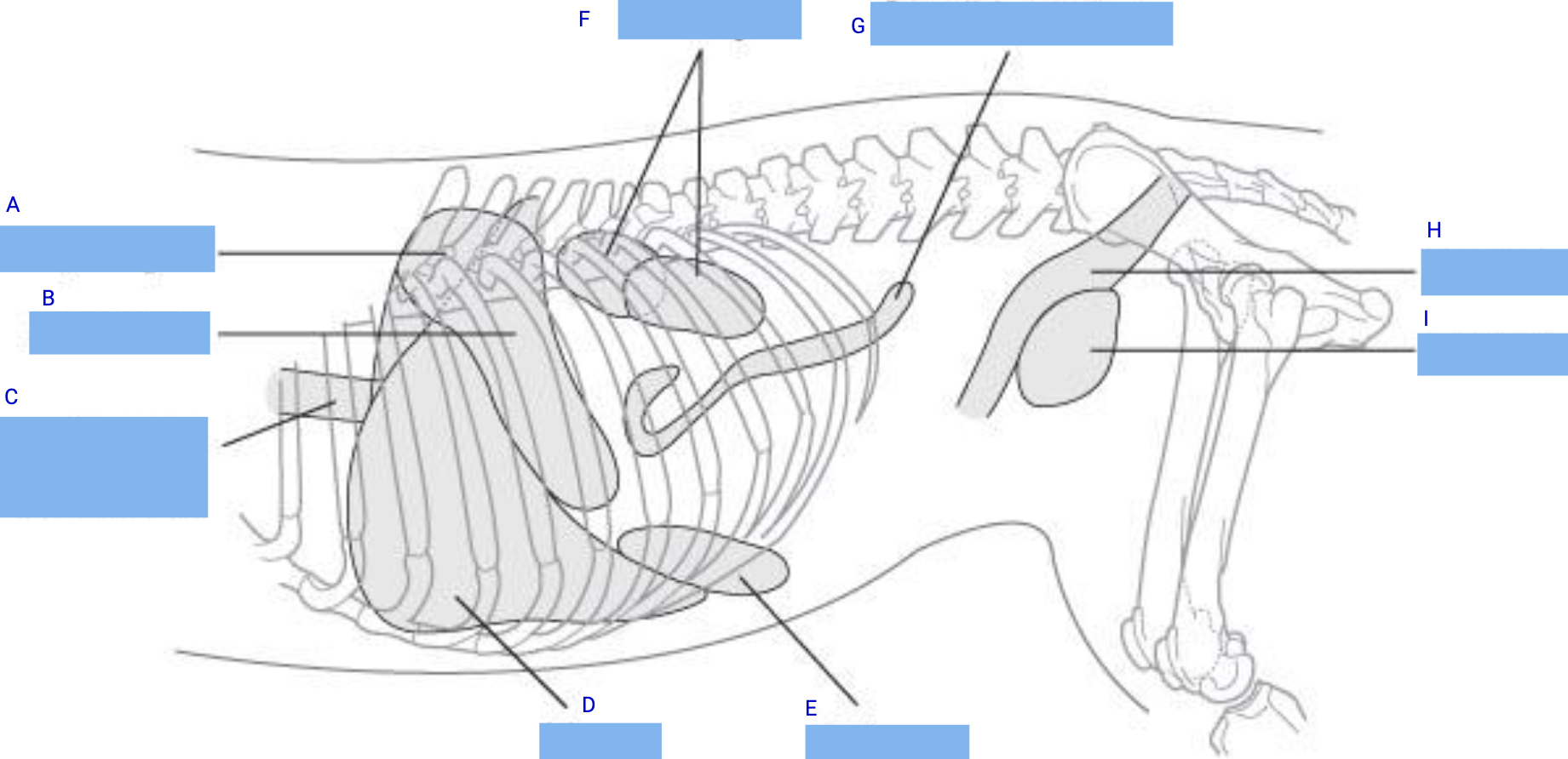 <p>what is E</p>