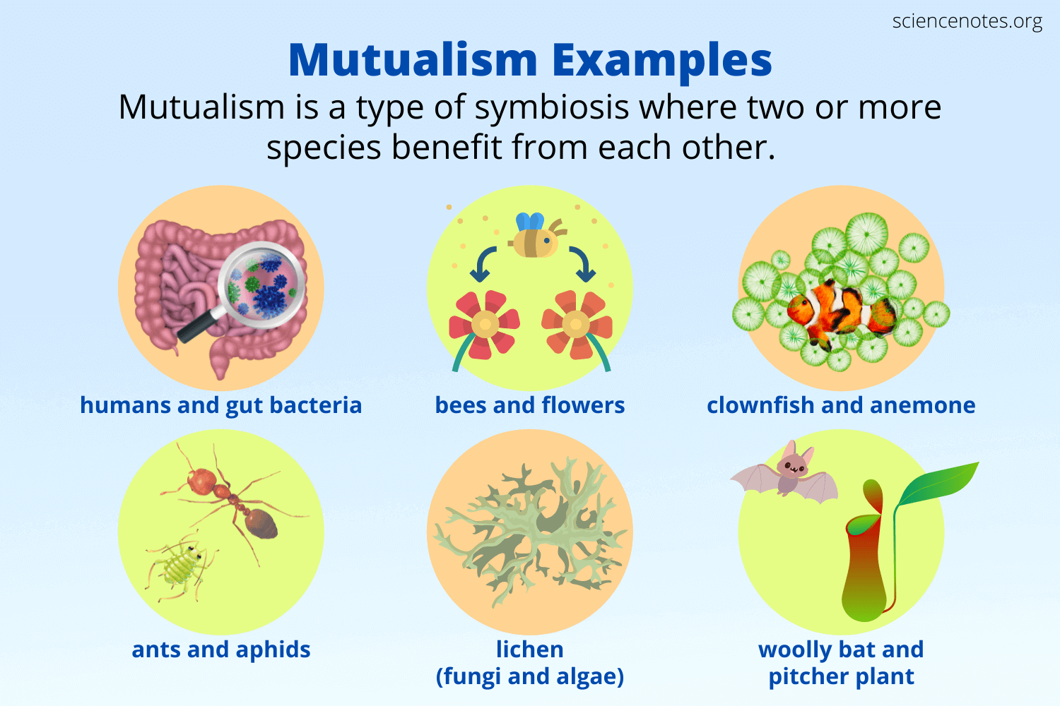 <p>both symbionts and hosts benefit</p><p>Ex: Human guts provide a moist environment and nutrients for gut microbiota and microbes provide vitamin precursor</p>