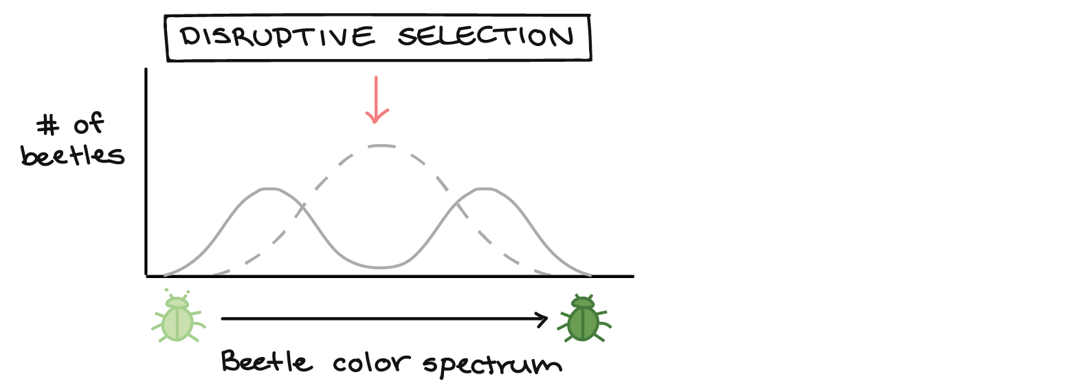 both extremes are at an advantage