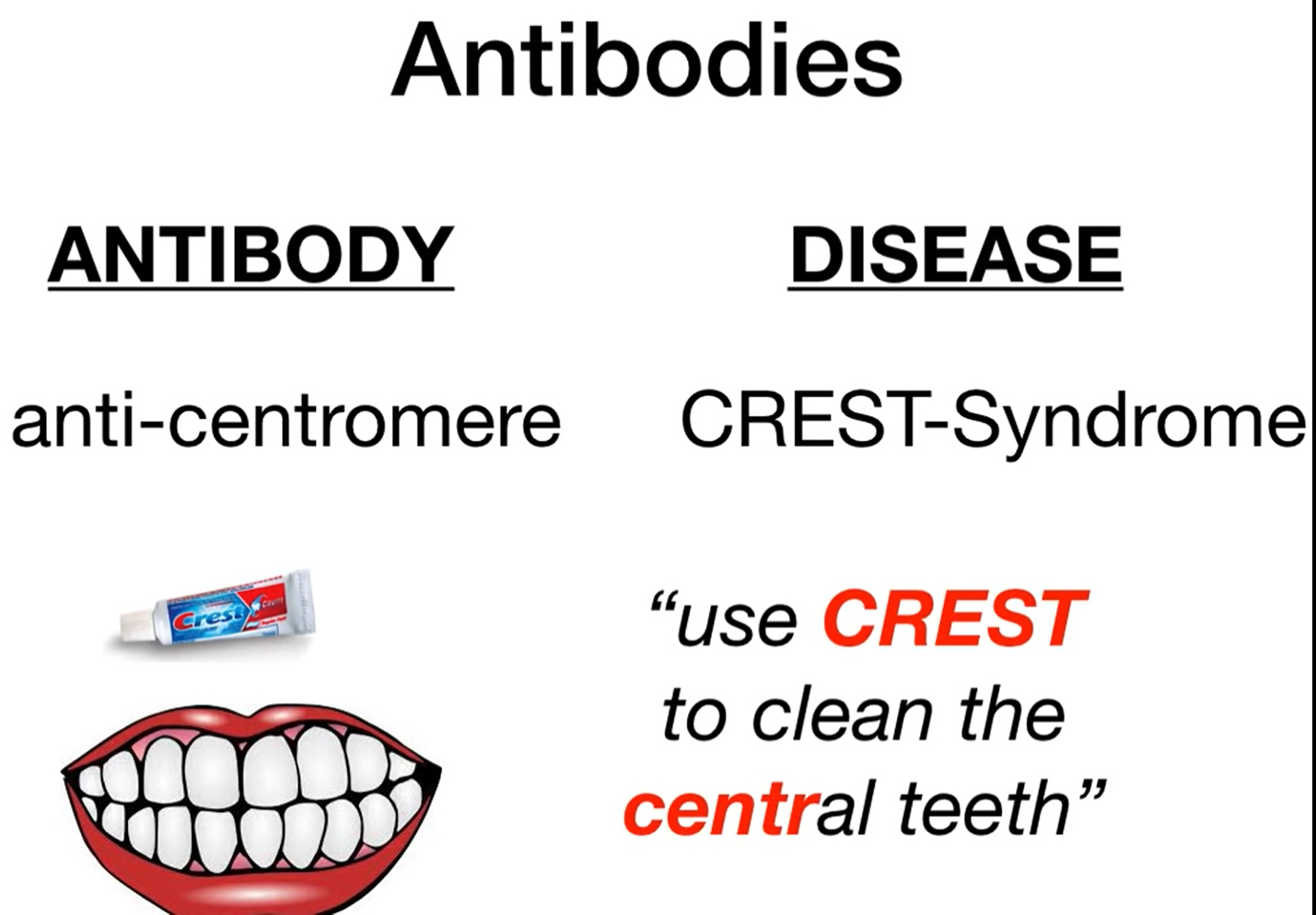<p>Anticentromere</p><ul><li><p>another name for limited scleroderma is CREST syndrome</p></li></ul><p></p>