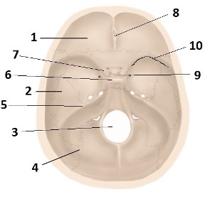 <p>Depression indicated by #9</p>