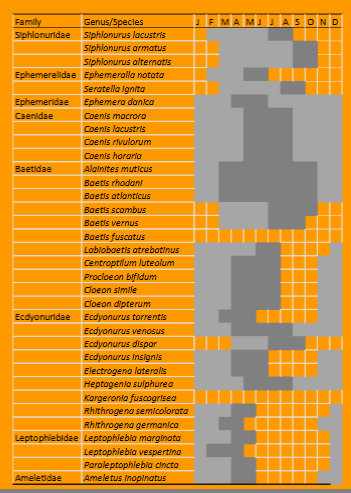 <ol><li><p>Taxonomically sound &amp; easy to identify</p></li><li><p>Widespread distribution</p></li><li><p>Numerically abundant</p></li><li><p>Large body size</p></li><li><p>Ecological requirements known (autecology)</p></li><li><p>Narrow ecological demands</p></li></ol><p></p>