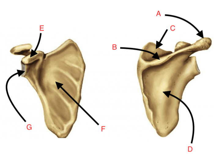 <p>What is B?</p>