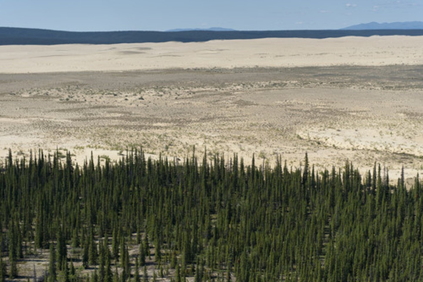 <p>Alaska</p>