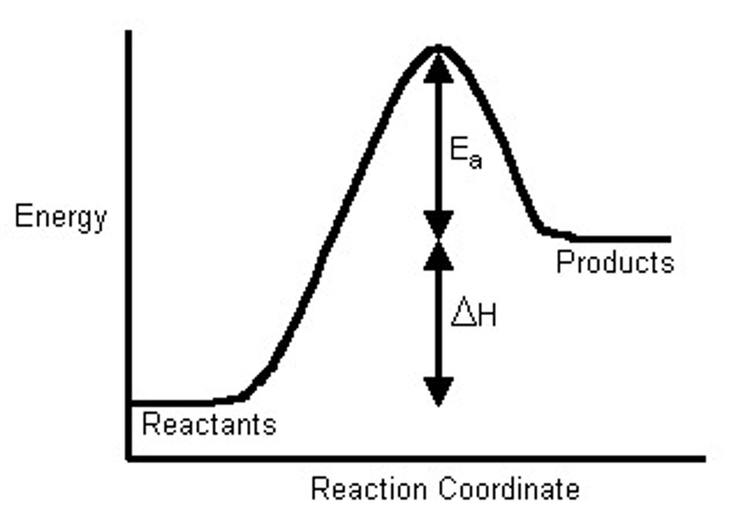 <p>Endothermic, as the products contain more energy than the reactants - indicating an absorption of energy</p>