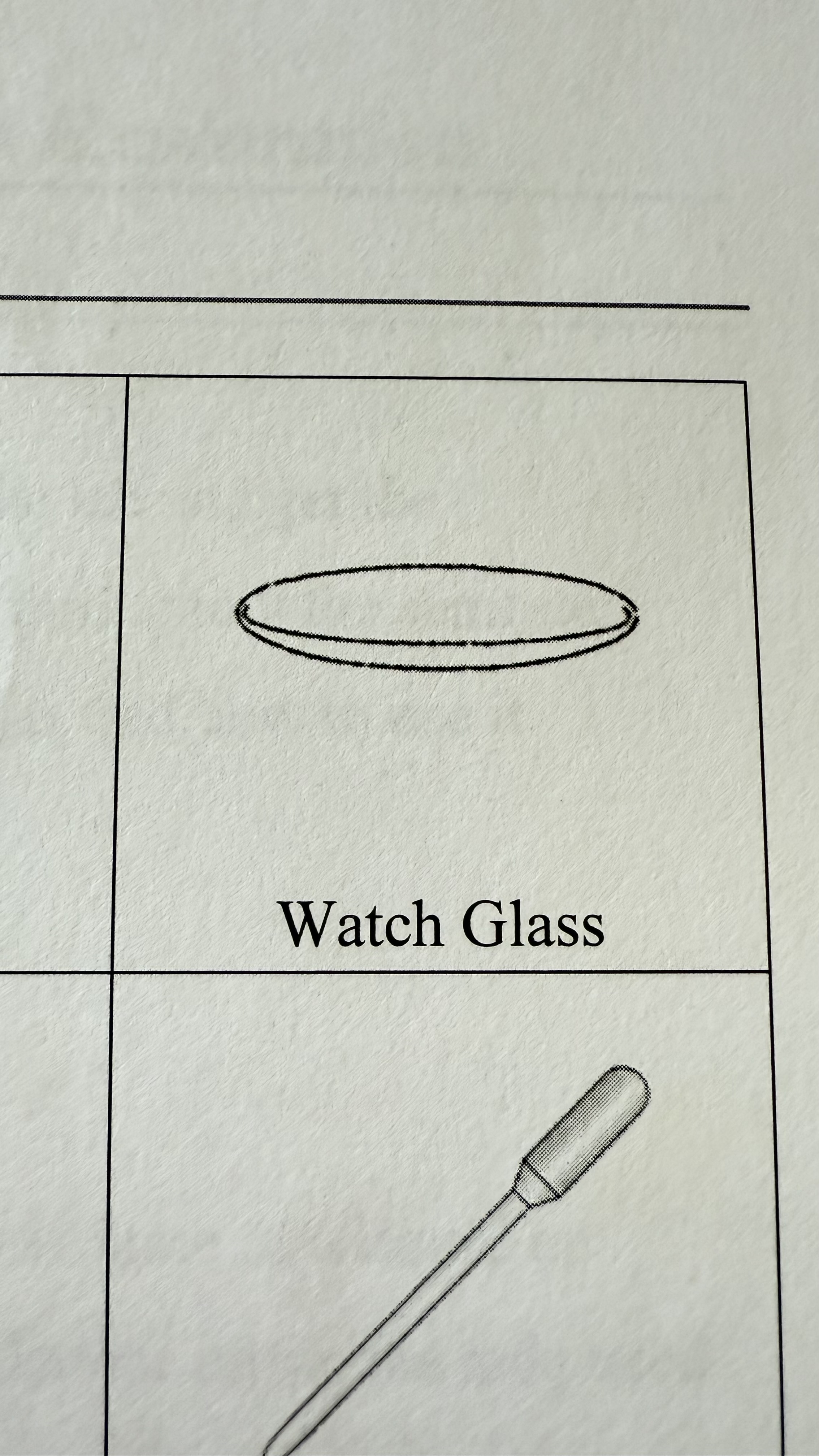 <p>Watch Glass</p>