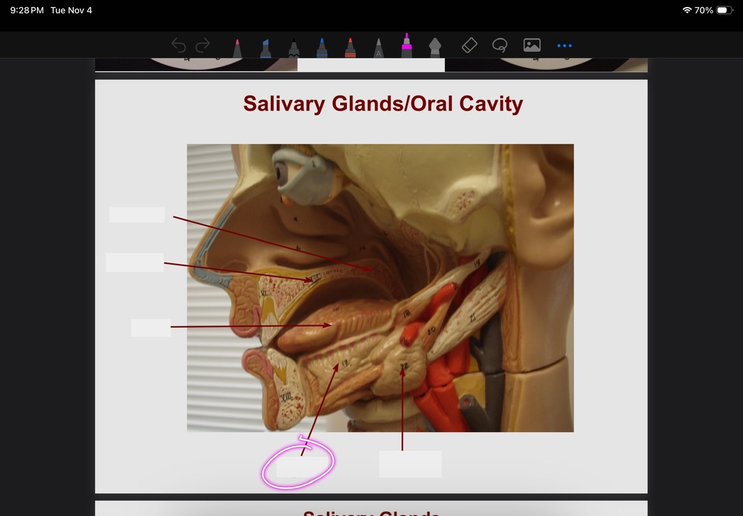 <p>What is this?</p>