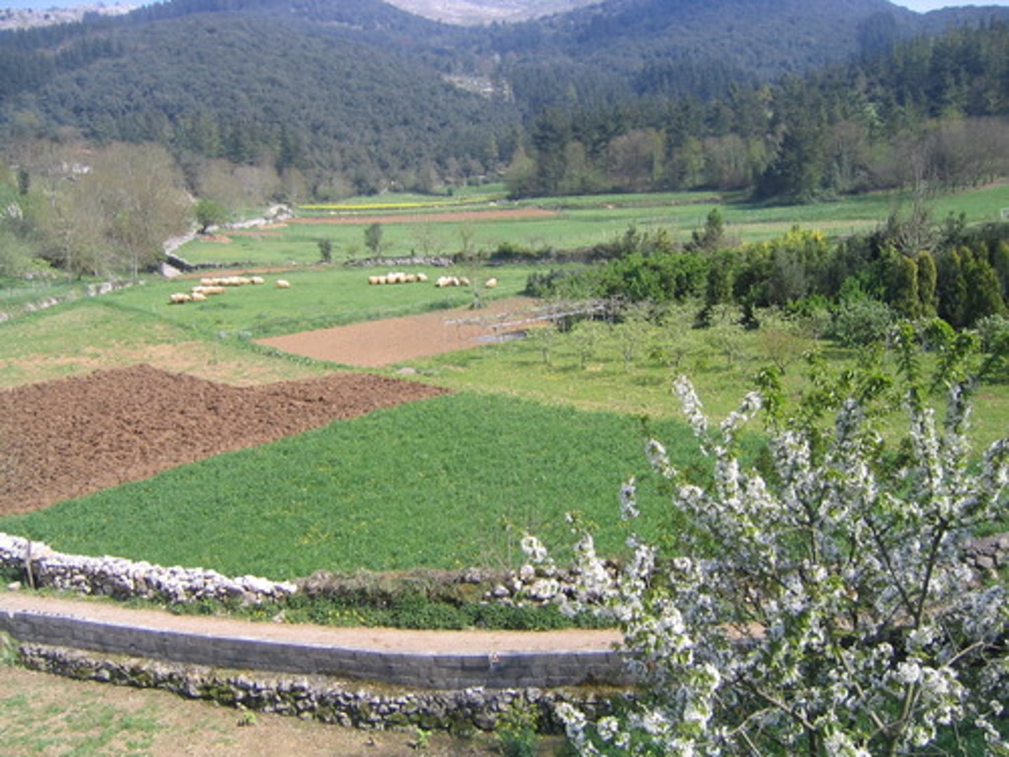 <p>el paisaje</p>