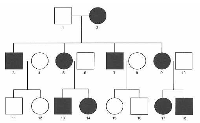 <p>Matrilineal inheritance</p><ul><li><p>when mother is effected than all children are also effected 100%</p></li><li><p>when father is effected then non the th children have it</p></li></ul>