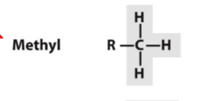 RCH3