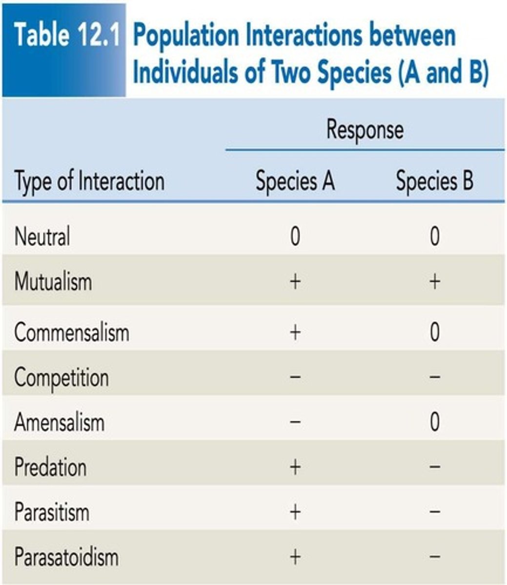 <p>When both species mutually benefit from the interaction.</p>