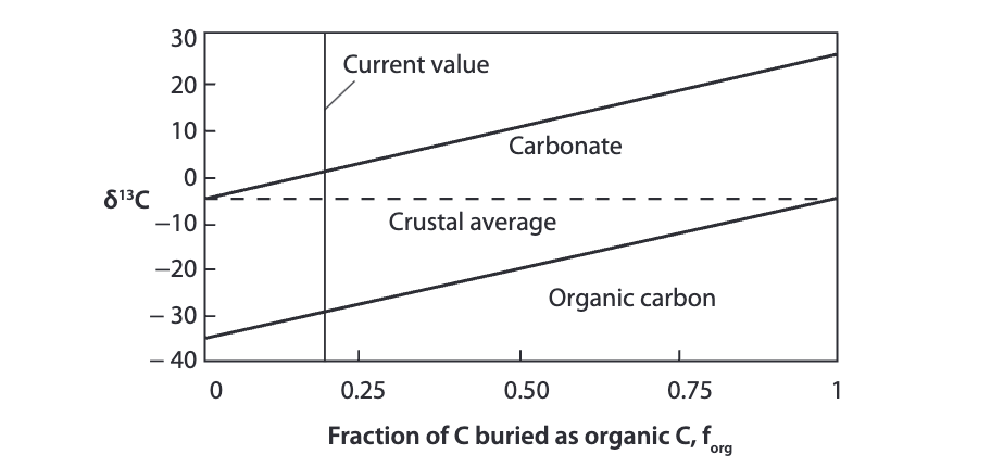 <p>interpret the graph</p>