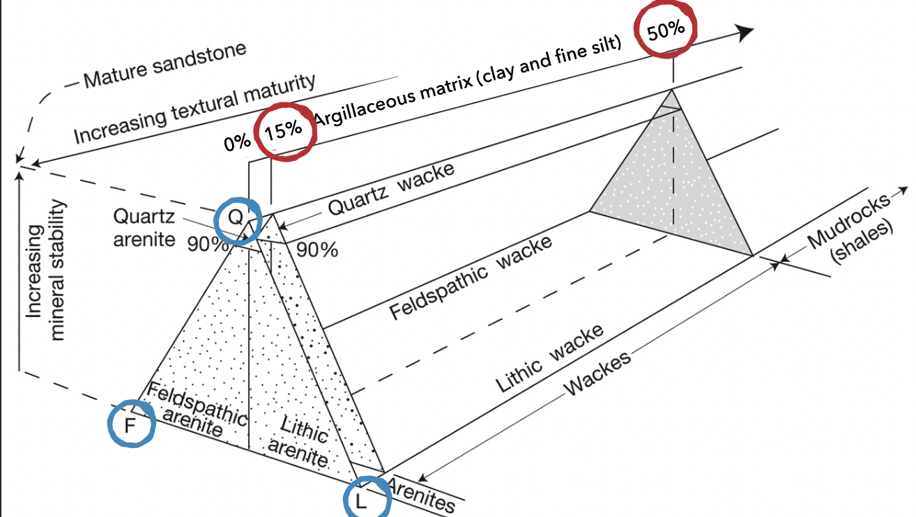 <p>Dott’s classification</p>