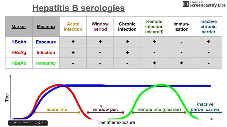 <p>HBsAg and Anti-HBs</p>