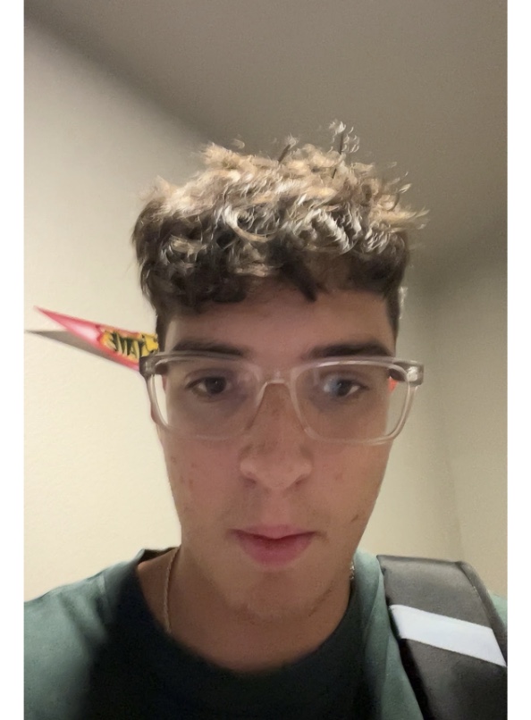 term image