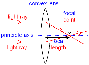 <p>A line which pass through the centre of the lens</p>