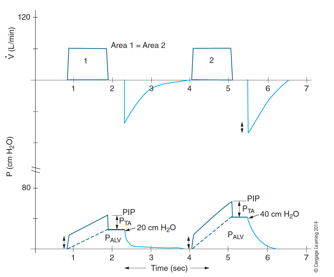 <p>A decrease in total compliance (CLT) would show an unchanged _______ but increased _______.</p>
