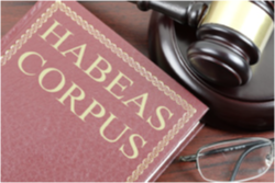 <p>•<strong><em>Writ of habeas corpus </em></strong><span style="font-family: &quot;Century Schoolbook&quot;;">– “formal written order” to “free the person”</span></p><p>•Least restrictive alternative doctrine – mandates that care providers take the least drastic action to achieve a specific purpose</p><p>Patient who think they are being held again their will must file a write of habeas corpus, which pushes it to the courts to decide if the patient has been denied due process.</p><p style="text-align: left;"></p><p style="text-align: left;">Least restrictive alternative doctrine: Example given in book – if one can be treated with depression medication on an outpatient basis, then they do not need to be hospitalized (restrictive and unnecessary)</p><p>Pt has the right to access legal counsel and present it before a hudge who can order a release. if the pt thinks they are being held without a judte caus ethey can do a petition for writ of habeus corpus- formal written order. </p><p>pts can challenge the hospital- for a least restrictive doctrine- this is where the dr does the least invaise tx . for example w depression- they can do outpatient instead of hospitalization. </p>