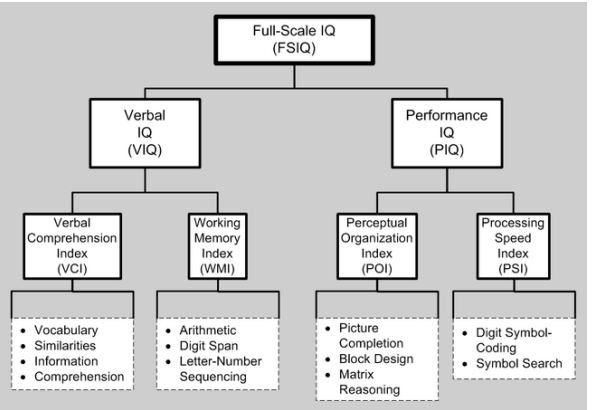 <ul><li><p><span style="background-color: transparent;"><span>Verbal comprehension</span></span></p></li><li><p><span style="background-color: transparent;"><span>Perceptual organization</span></span></p></li><li><p><span style="background-color: transparent;"><span>Working Memory</span></span></p></li><li><p><span style="background-color: transparent;"><span>Processing Speed&nbsp;</span></span></p></li></ul><p></p>