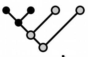 The common derivative trait of two or more groups. These groups had/ have a common ancestor that already had this character. When it was formed, this character was autapomorphic.