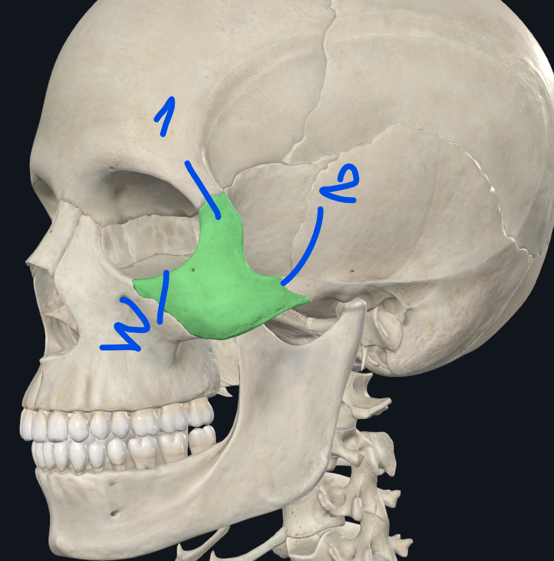 <p>1 2 3</p>