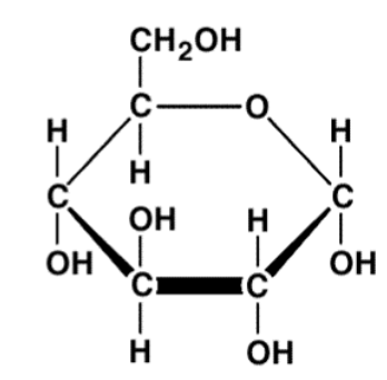 Monomer of carbohydrates. Mono= simple, saccharide= sugar
