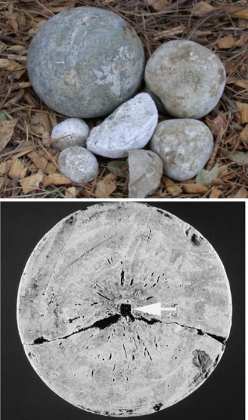 <p>indicates that there are other enteroliths present</p>