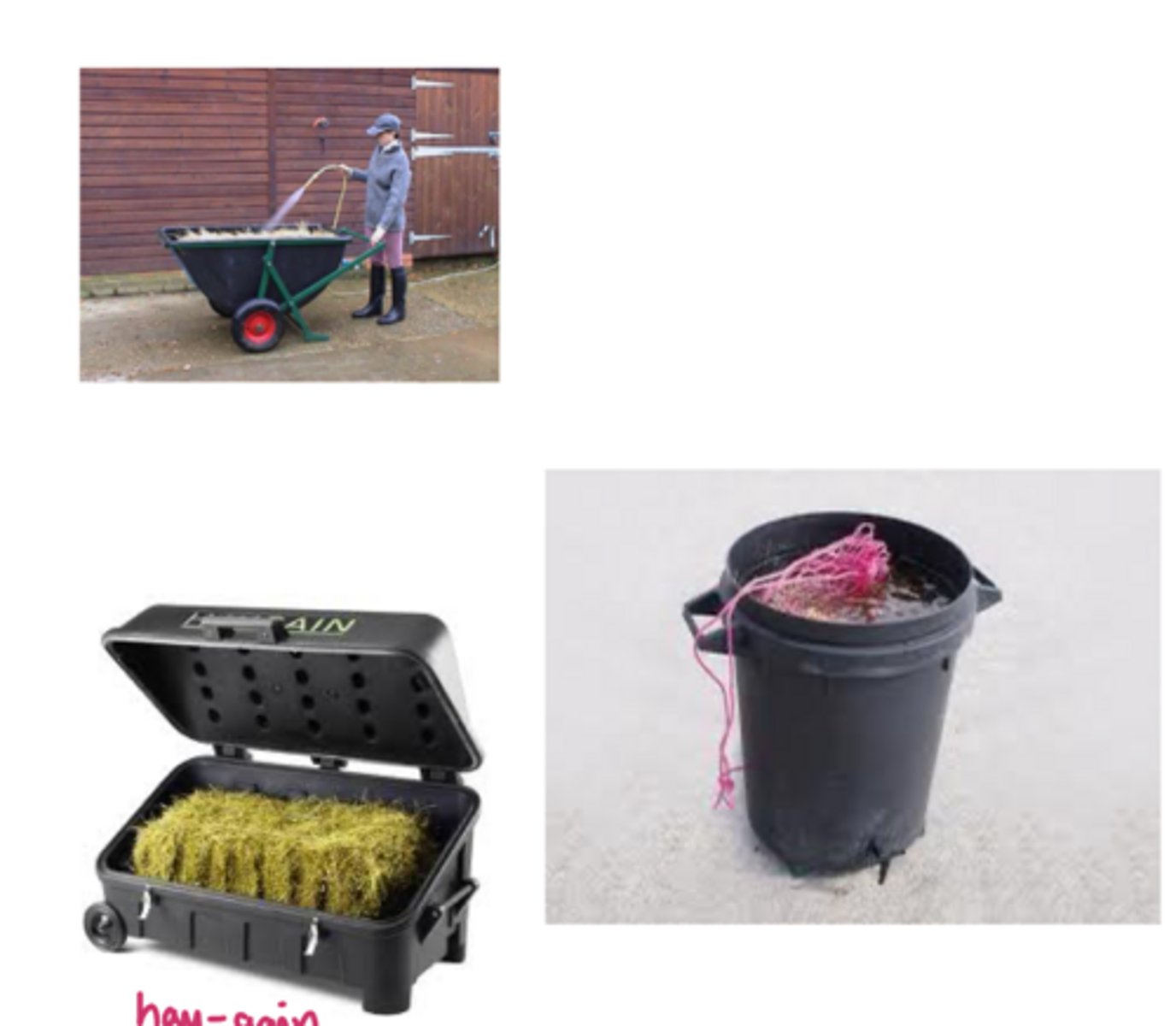 <p>management practices of heaves/recurrent airway obstruction</p>