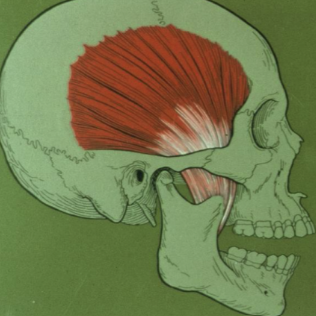 <p>ID </p>