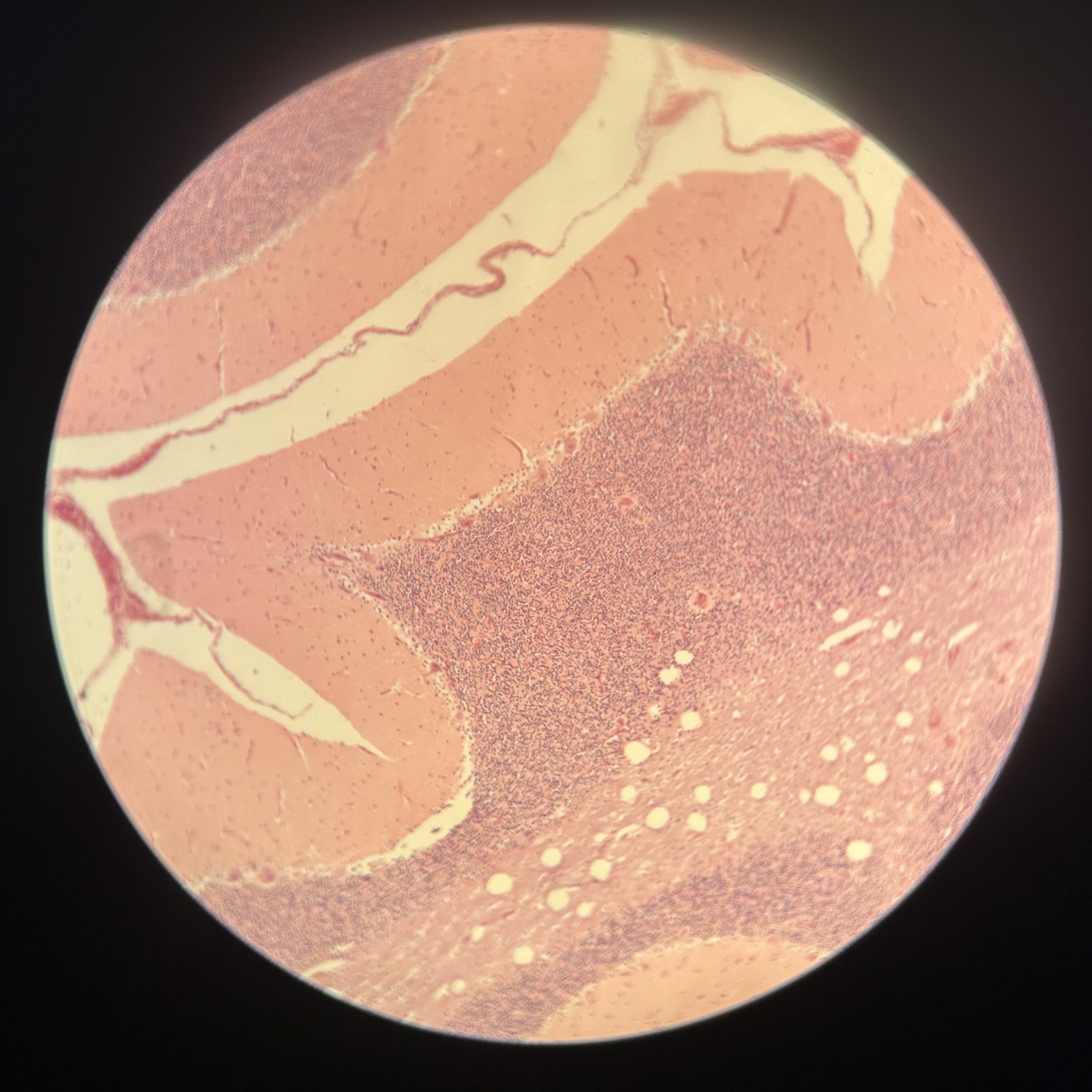 <p>What location is shown?</p>