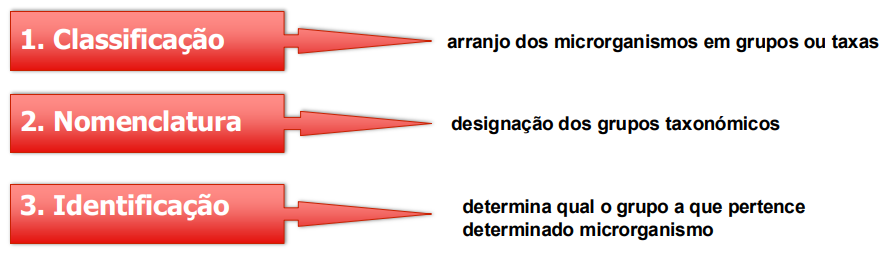 <p>É a ciência da classificação biológica.</p><p>Ciência que lida com os princípios, métodos e propósitos de classificação, geralmente científicos; é aplicada, principalmente, na biologia para a gestão hierárquica e sistemática de grupos de animais e plantas. Trata da classificação dos seres vivos, enquadrando-os em categorias como ordem, família ou género.</p>