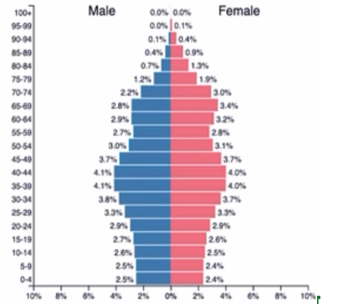<p>What stage is this population pyramid in?</p>