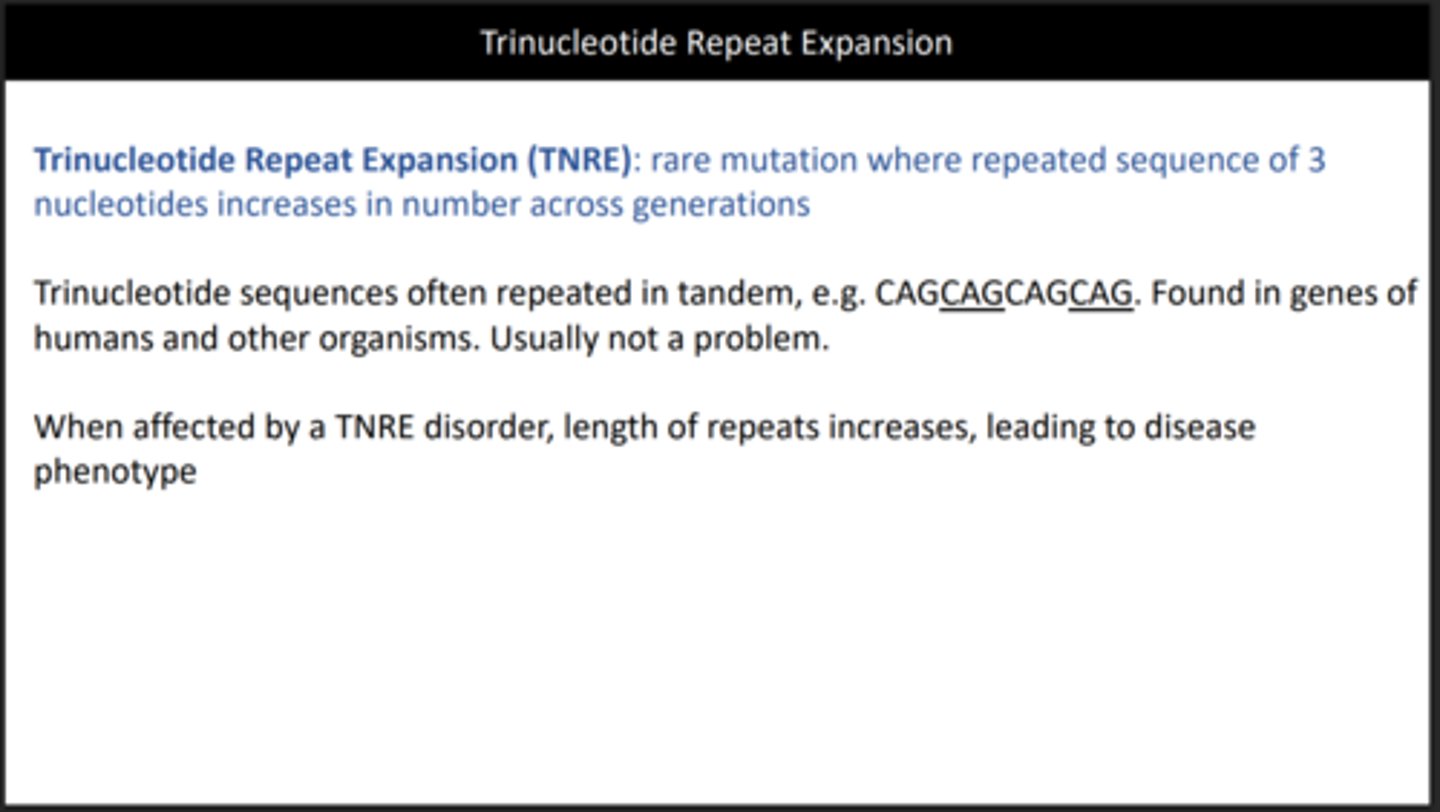 <p>The expansion of repeating sequences, worsens in subsequent generations due to repeat of expansions</p>