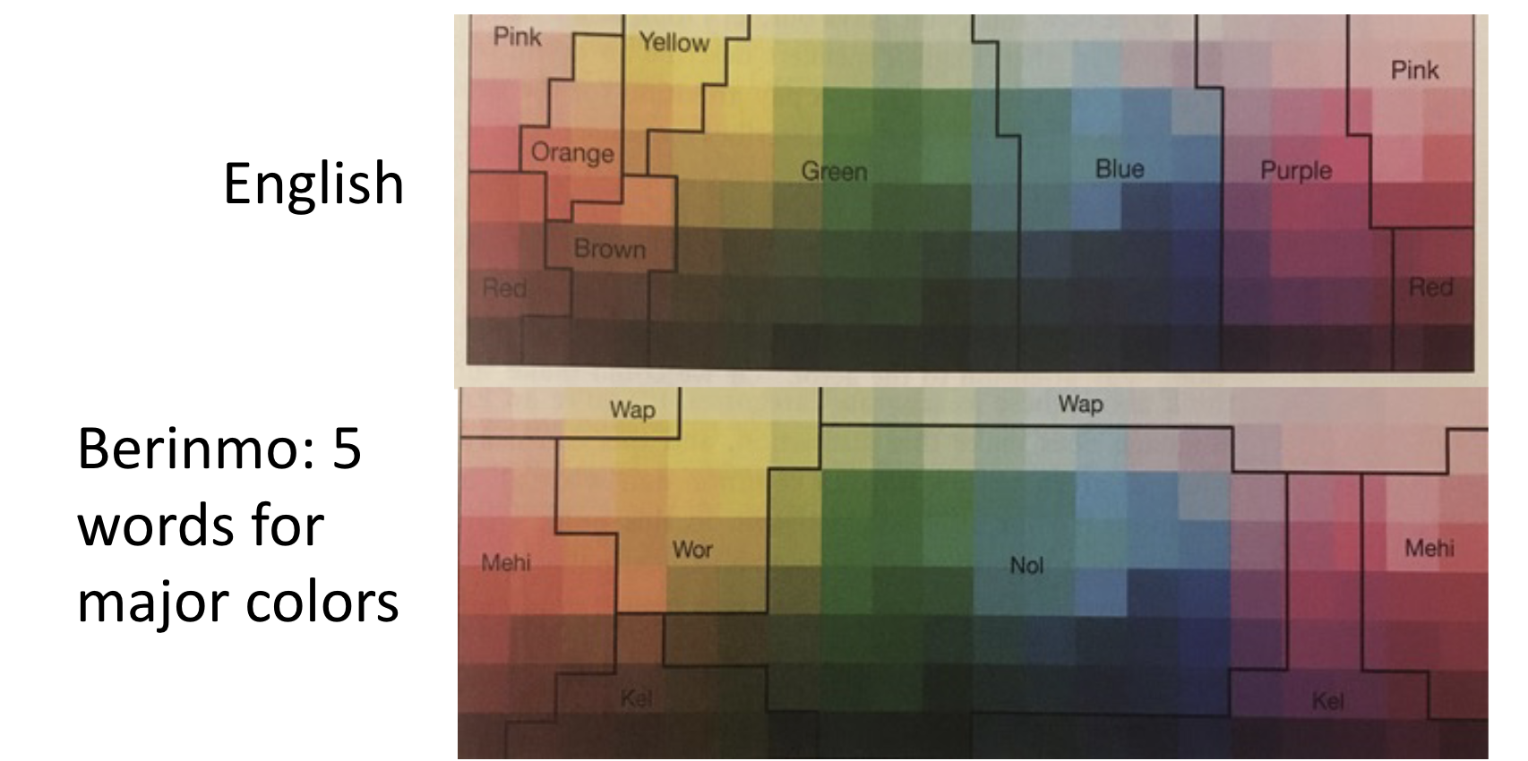 <p>How language influences categorization: a color may be categorized differently by speakers of different languages!</p>