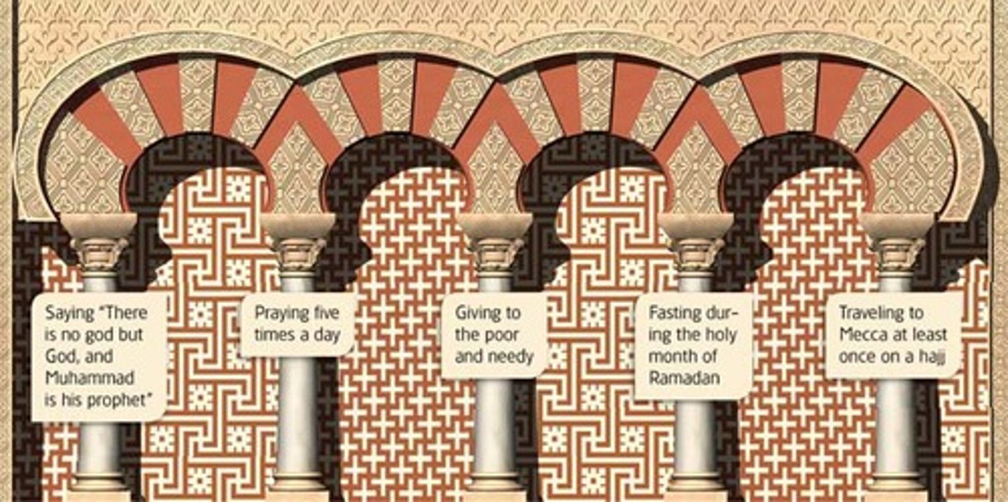 <p>true Muslims were expected to follow (principle of Salvation): belief in Allah, pray 5 times a day, giving of alms, fasting during Ramadan, pilgrimage to Mecca once in a lifetime</p>