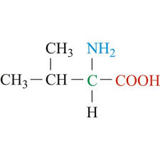 <p>CH3 - <strong>CH</strong> - CH3</p>