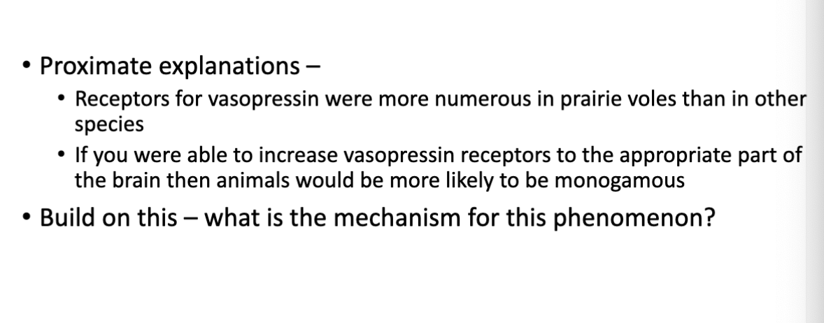 <p>results for vole experiment flip for alternate </p>